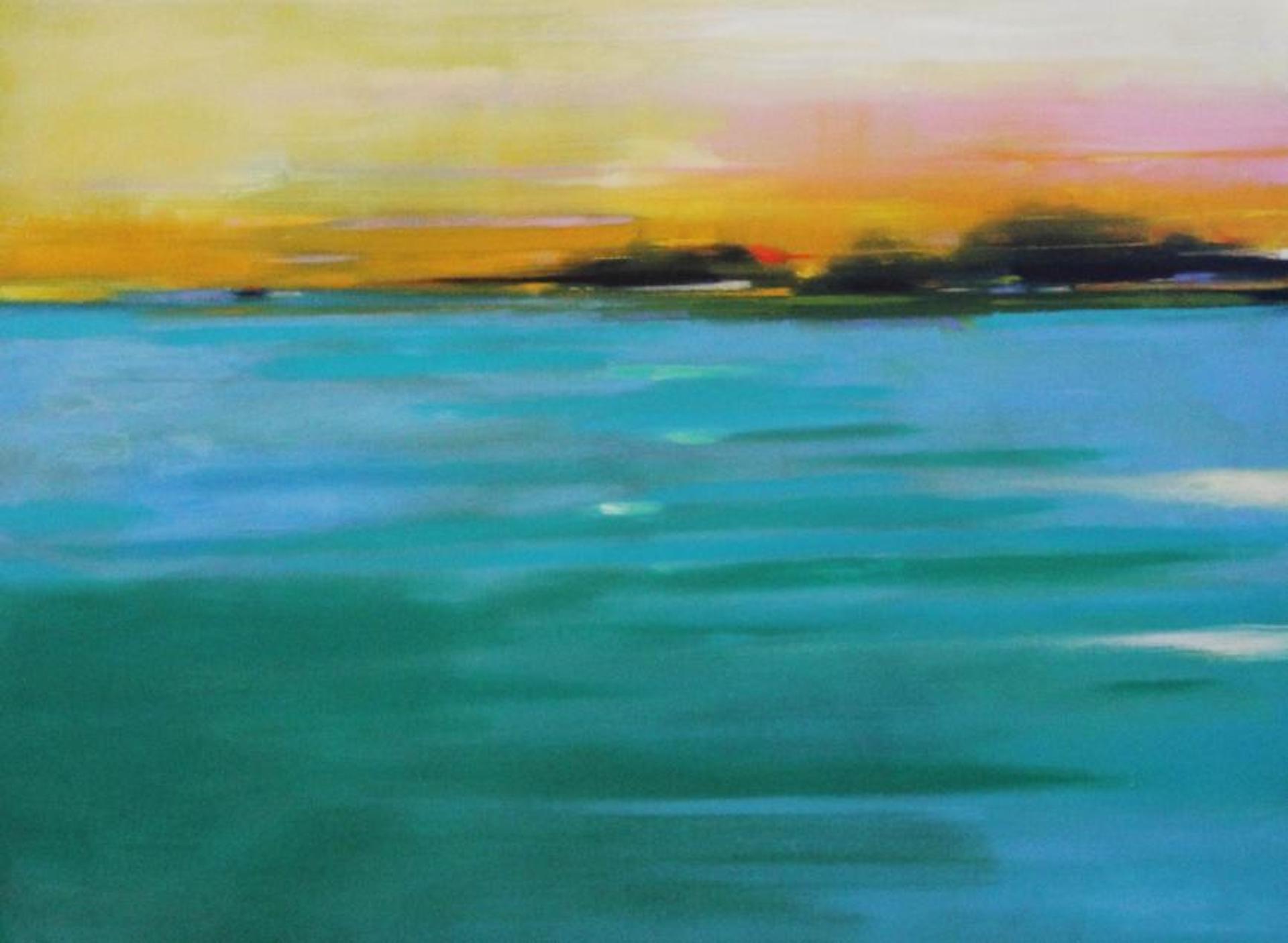 “Outer Captiva” 40" x 30" Oil on Canvas