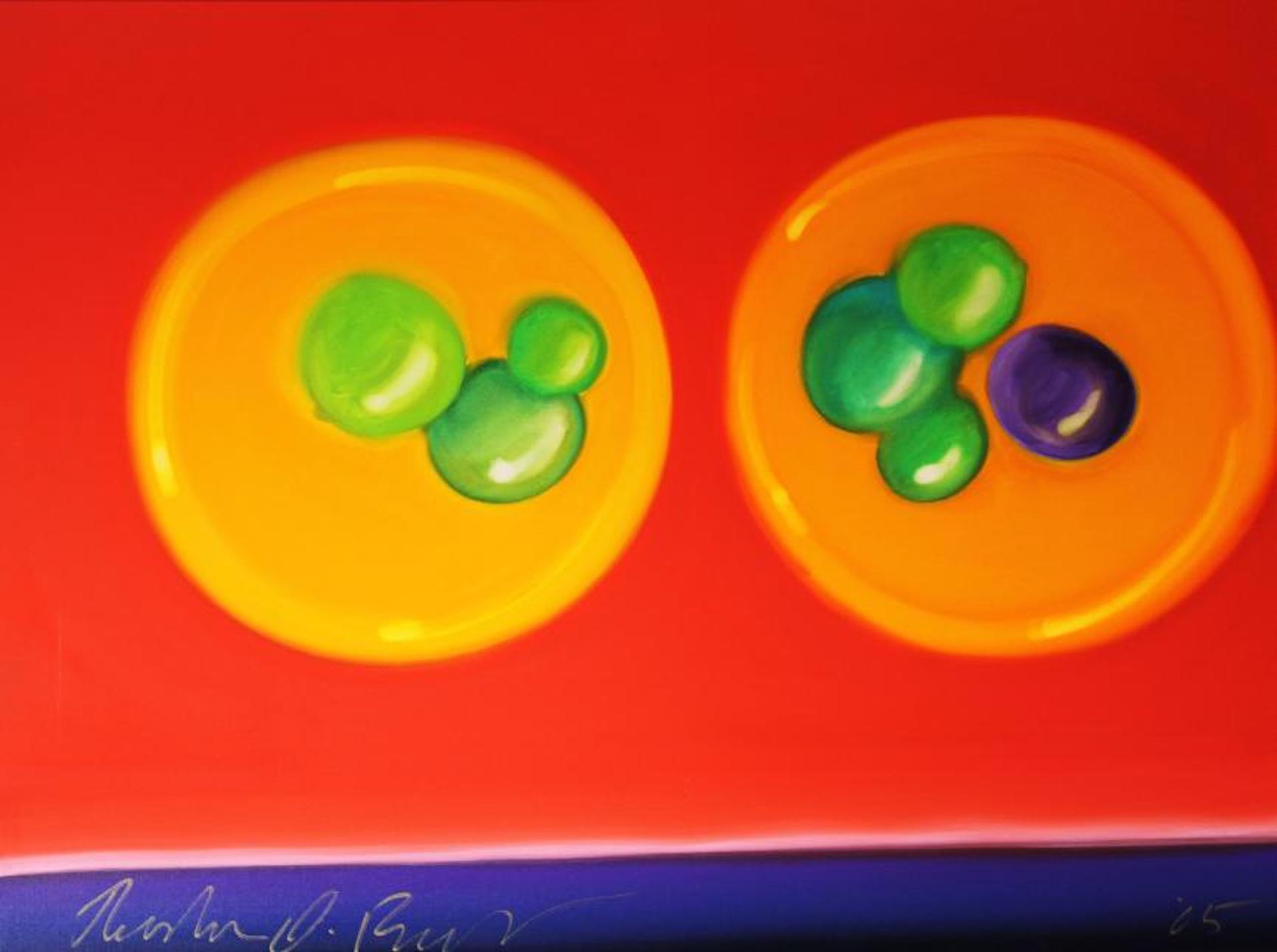 “Red Fruit Bowl” 40" x 30" Oil on Canvas