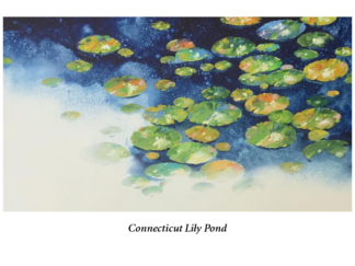 “Life’s Journey” Note Card: “Connecticut Lily Pond” Set of Six